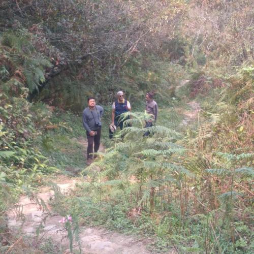 Small Track by Guest